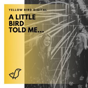 Yellow Bird Digital Consultancy Session